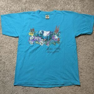 Vintage Potter County Pennsylvania Teal Graphic T-Shirt Adult L Eagle Products